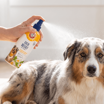Arm & Hammer תרסיס להקלה על גירודים וגירויי עור בניחוח פריחת קיווי לכלבים