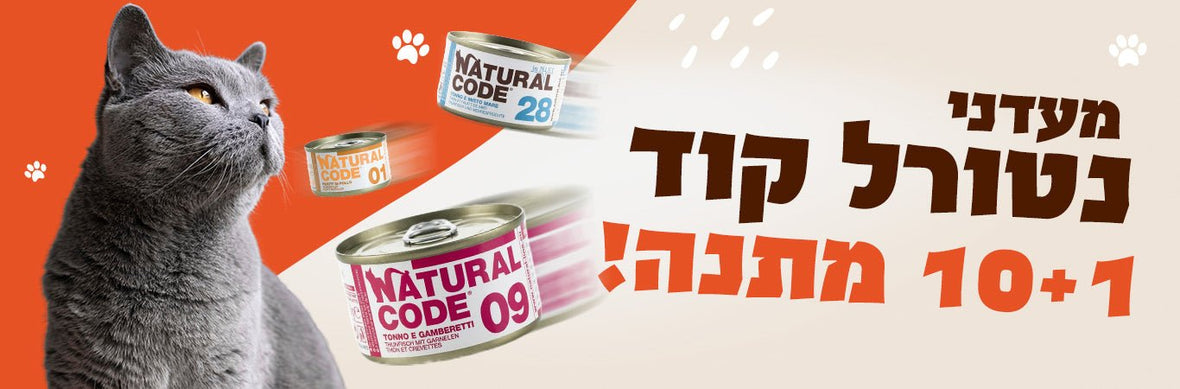 מעדנים ושימורים לחתולים