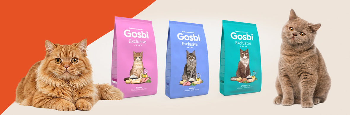 Gosbi Cat