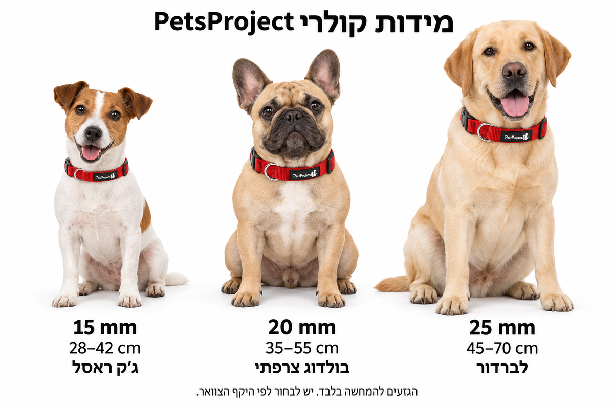 קולר ניילון כחול לכל סוגי הכלבים PetsProject