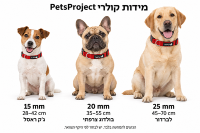 קולר ניילון כחול לכל סוגי הכלבים PetsProject