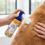 Arm & Hammer קצף יבש לנטרול ריחות לכלבים בניחוח פריחת קיווי