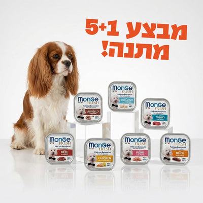 כלב קבליר לצד מבחר מגשיות מונג׳ פרש לכלבים וכיתוב מבצע 5+1 מתנה