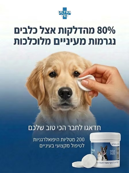 הדגמת ניקוי סביב עין של גור כלבים עם פד לצד אריזת מטליות אולטרה וט