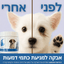 אולטרה וט – המחשת כתמי דמעות סביב עיני כלב לפני ואחרי, לצד צנצנת אבקה